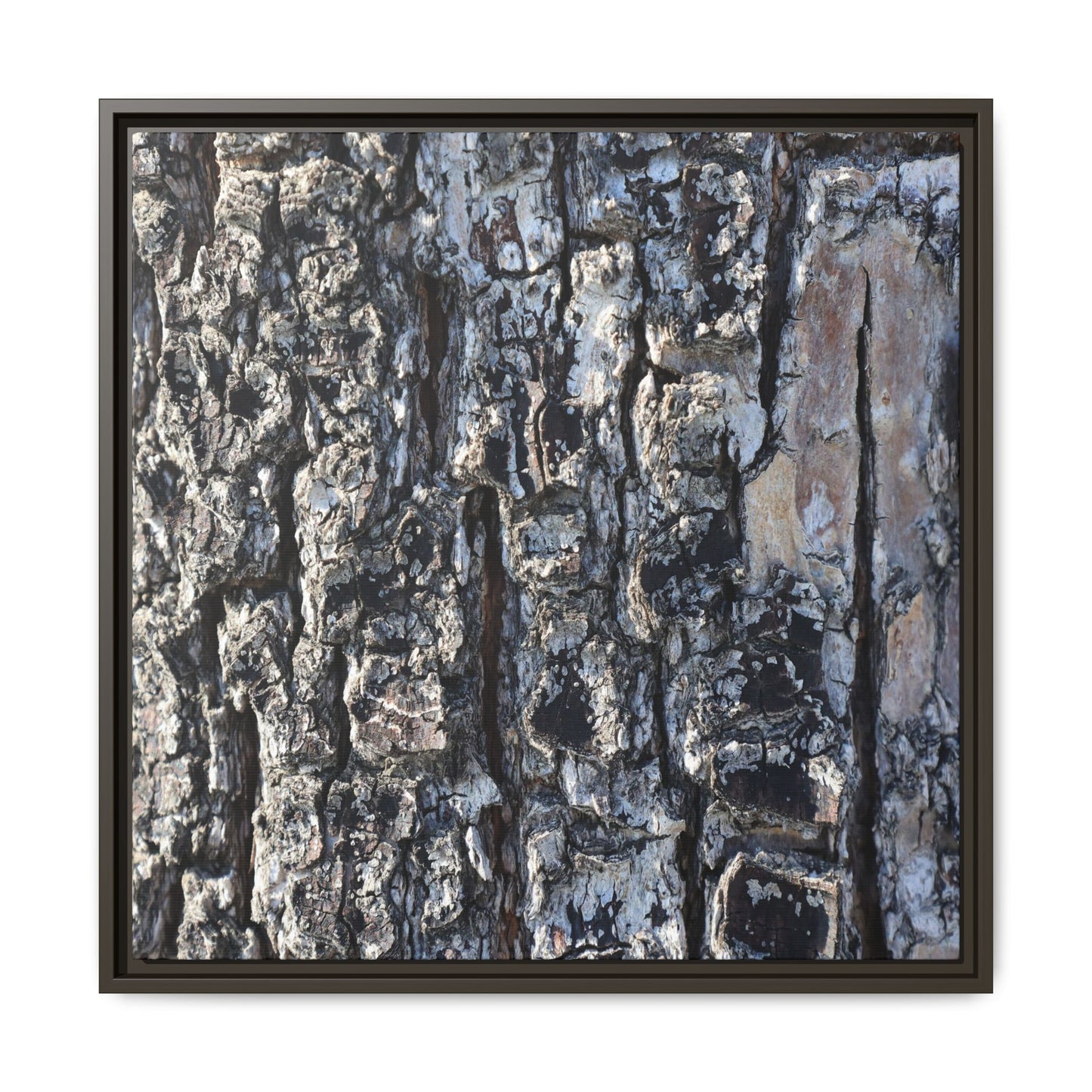 The Bark Chronicles - Unique Stretched Canvas Wall Art
