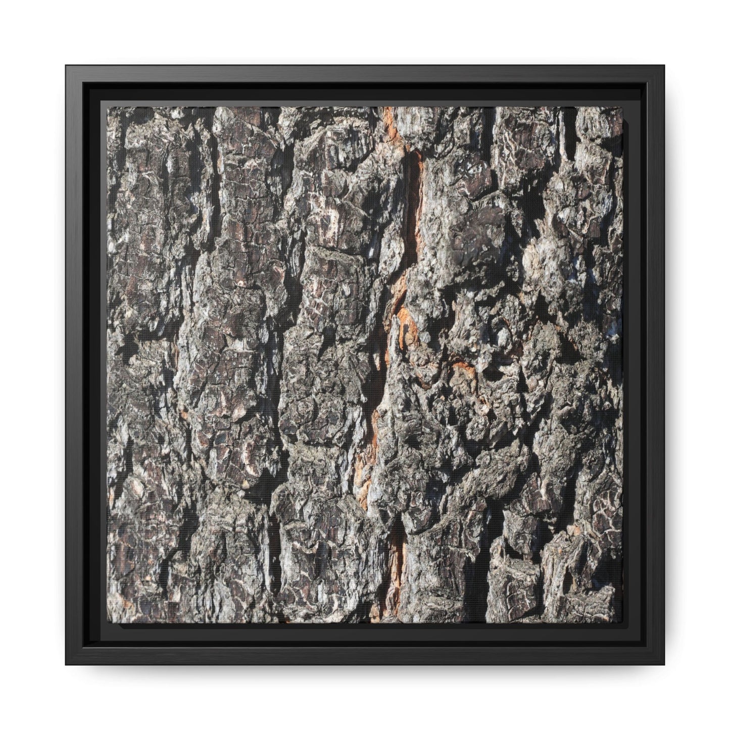Aged Beauty - Unique Stretched Canvas Wall Art