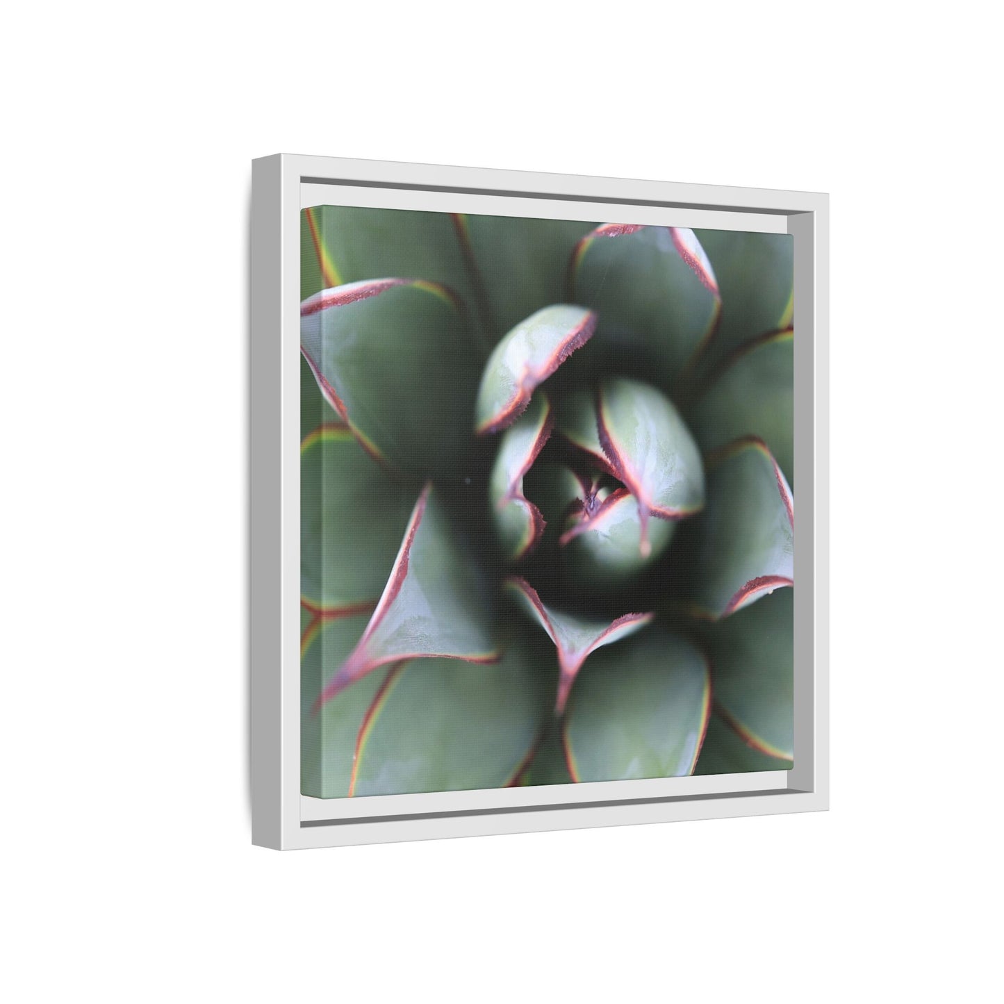 Spiky Elegance - Unique Stretched Canvas Wall Art