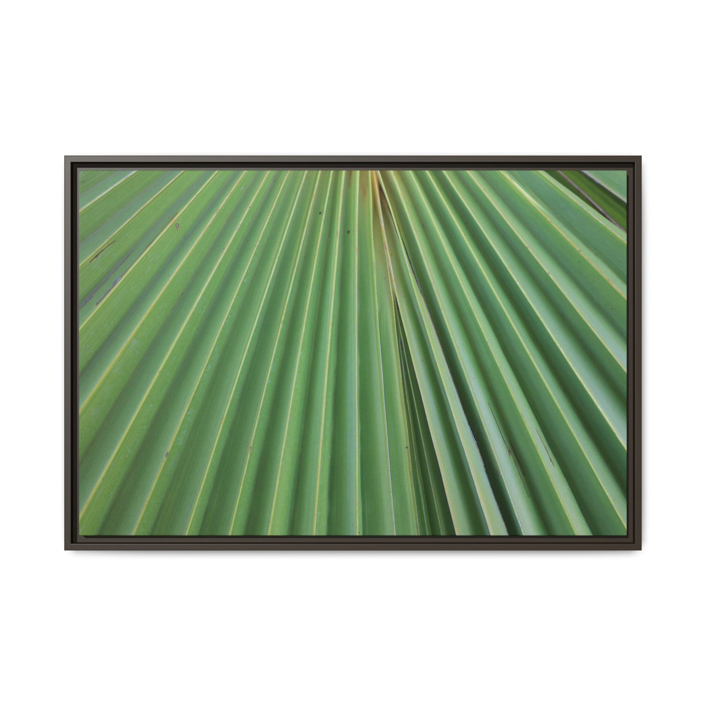 Verdant Veins - Unique Stretched Canvas Wall Art