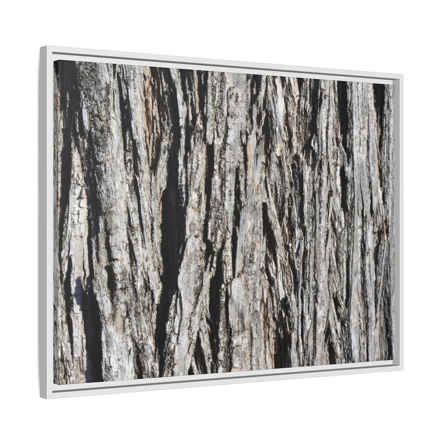 Nature's Abstract - Unique Stretched Canvas Wall Art