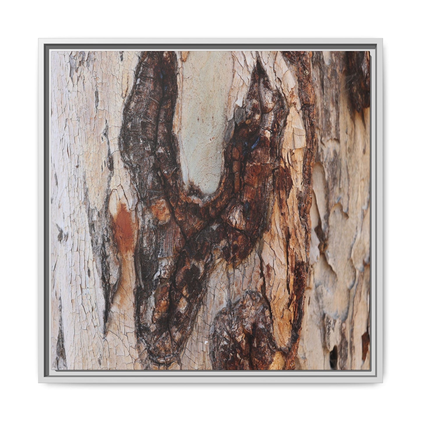 Texture of Time - Unique Stretched Canvas Wall Art