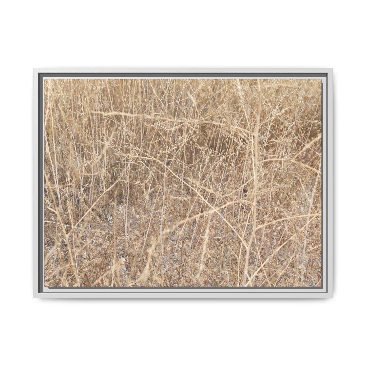 Golden Stalks - Unique Stretched Canvas Wall Art