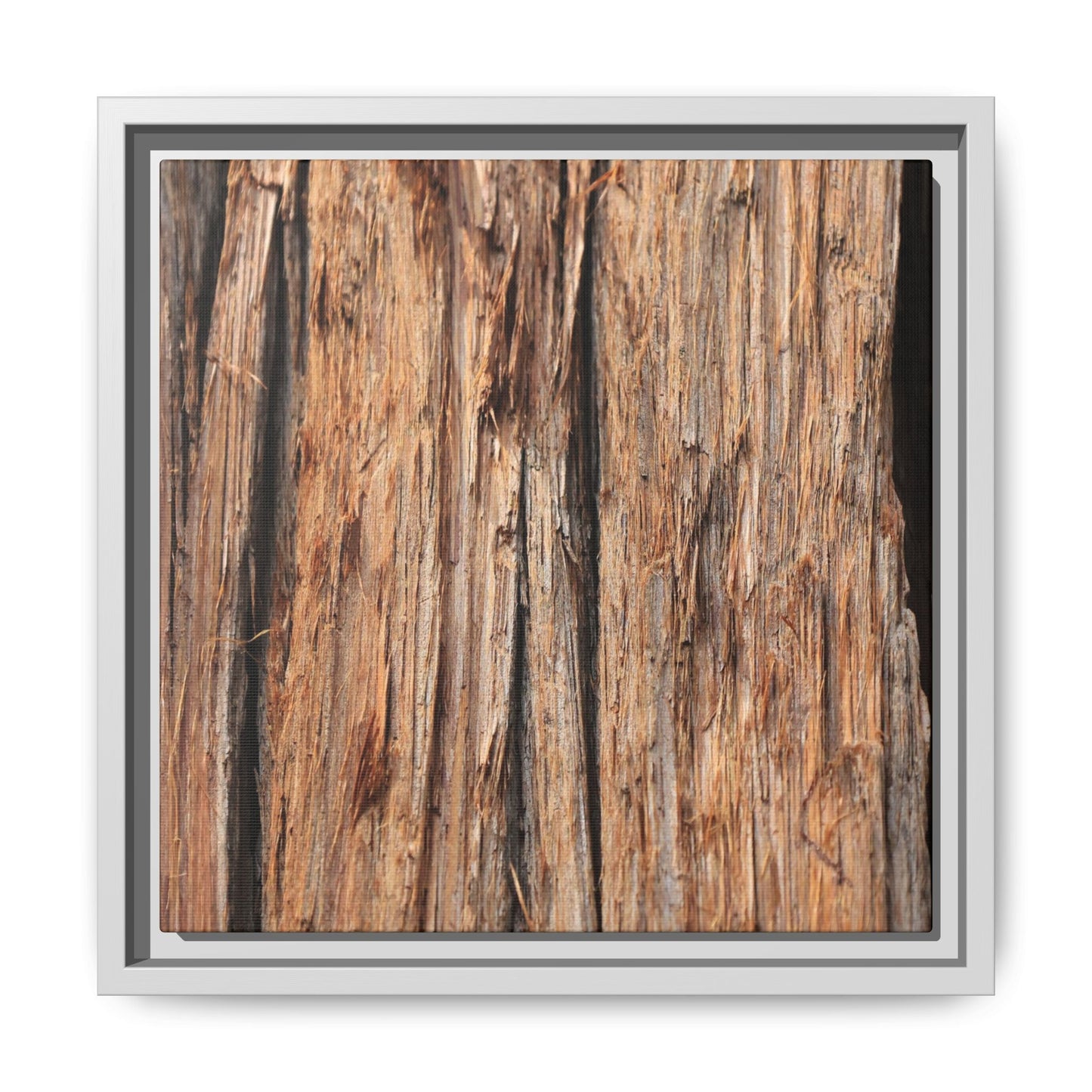 Timber Echoes - Unique Stretched Canvas Wall Art