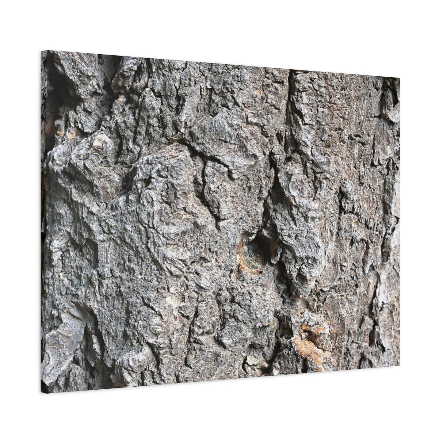 Elemental Canvas - Unique Frameless Canvas Wall Art