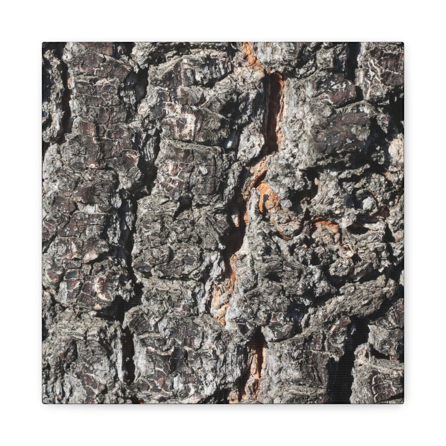 Arboreal Skin - Unique Frameless Canvas Wall Art