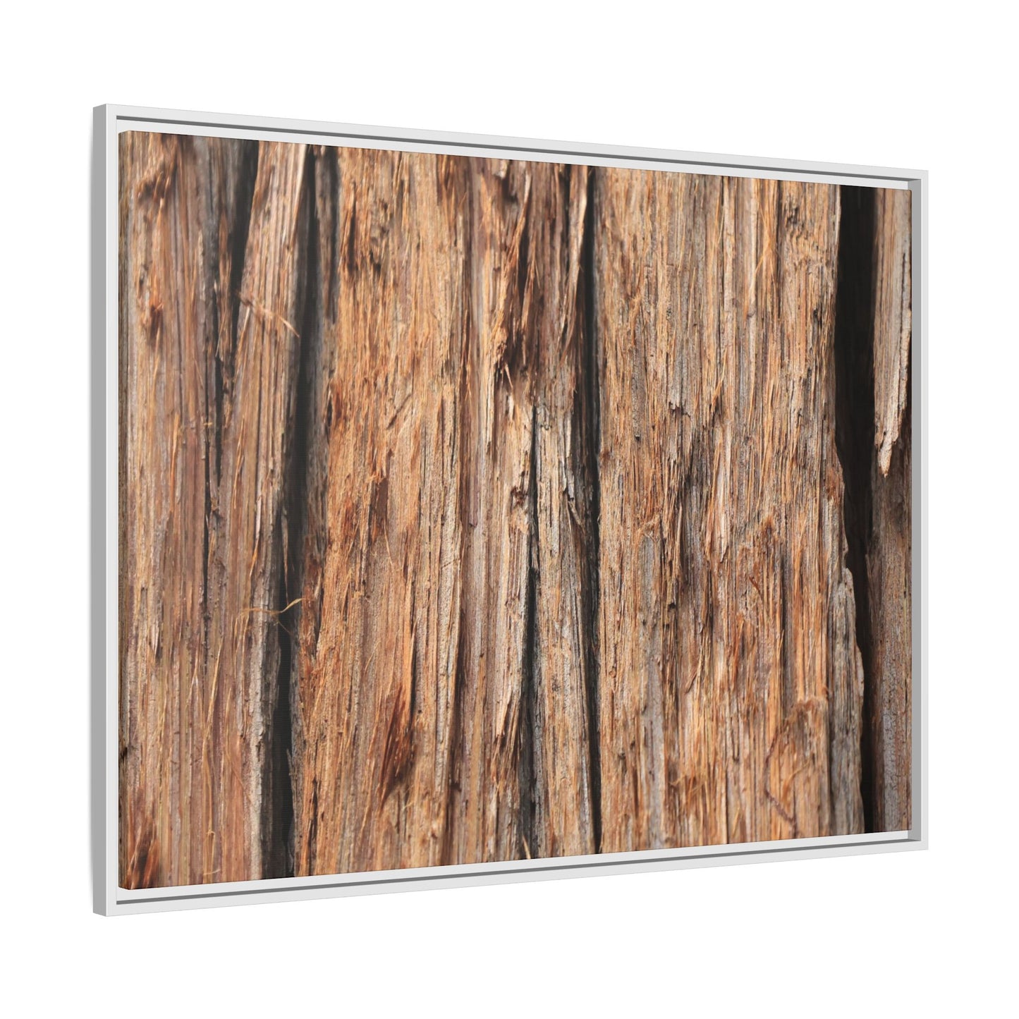 Timber Echoes - Unique Stretched Canvas Wall Art