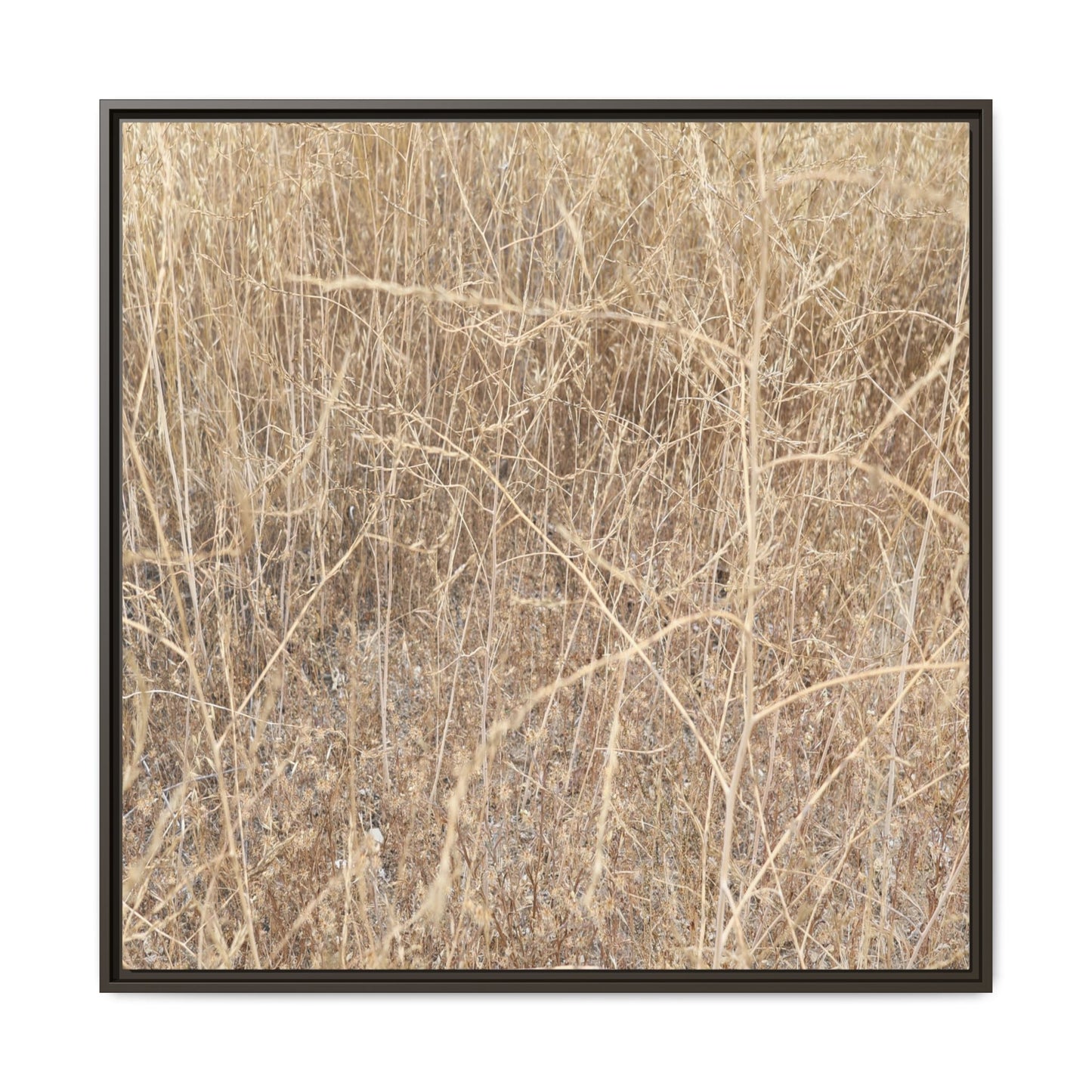 Golden Stalks - Unique Stretched Canvas Wall Art