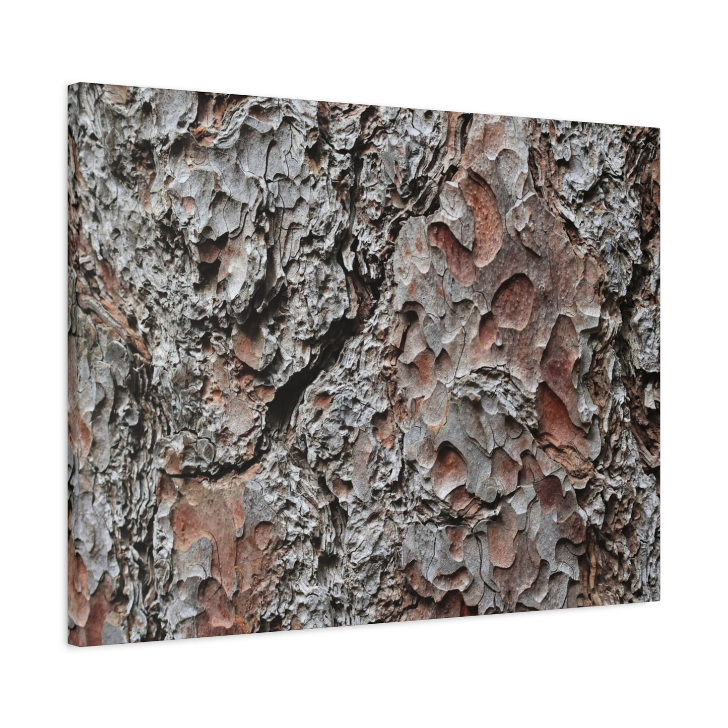 Textured Whispers of Bark - Unique Frameless Canvas Wall Art