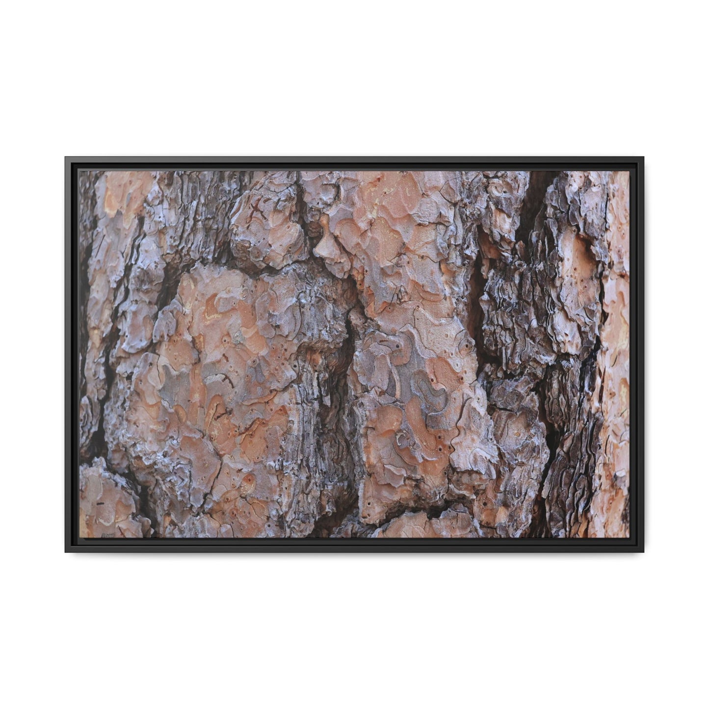 Tree Skin Symphony - Unique Stretched Canvas Wall Art
