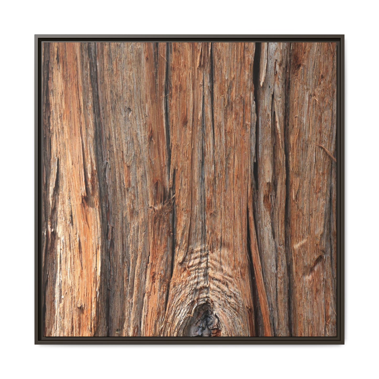 Echoes of Timber - Unique Stretched Canvas Wall Art