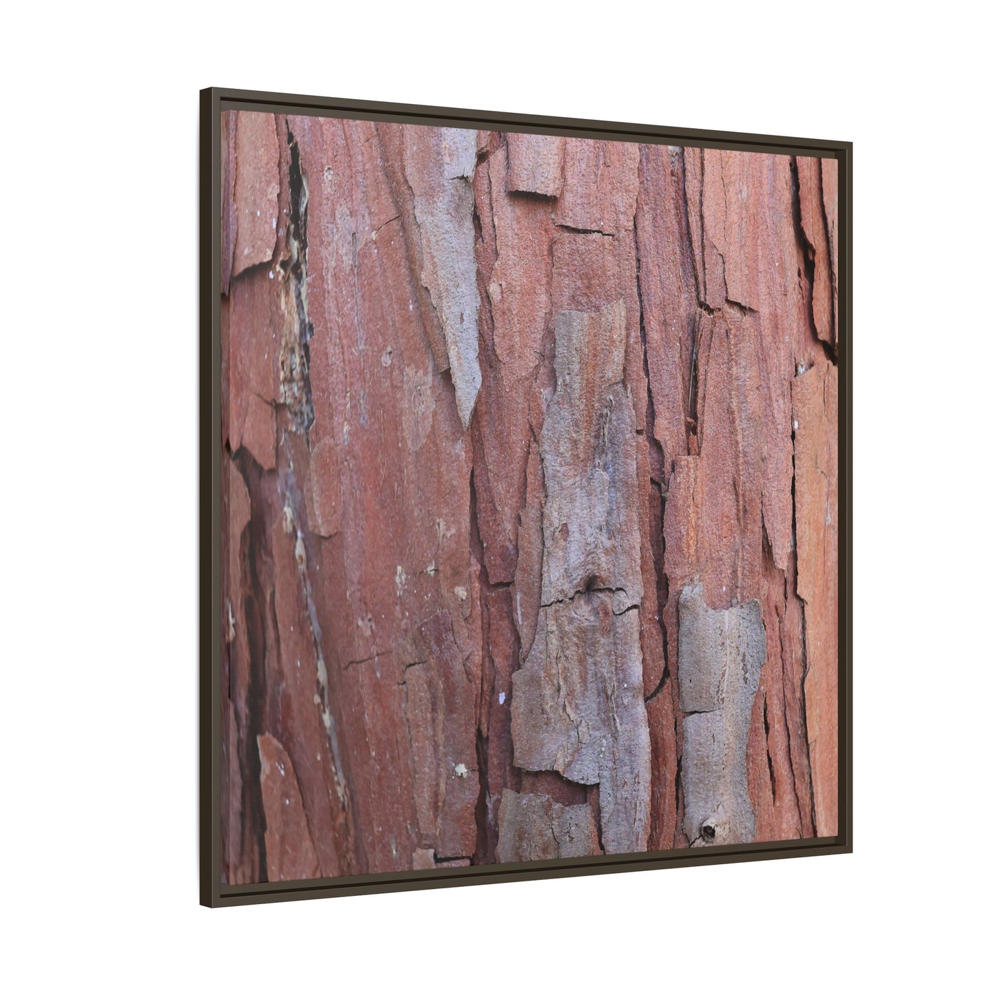 Peeling Bark - Unique Stretched Canvas Wall Art