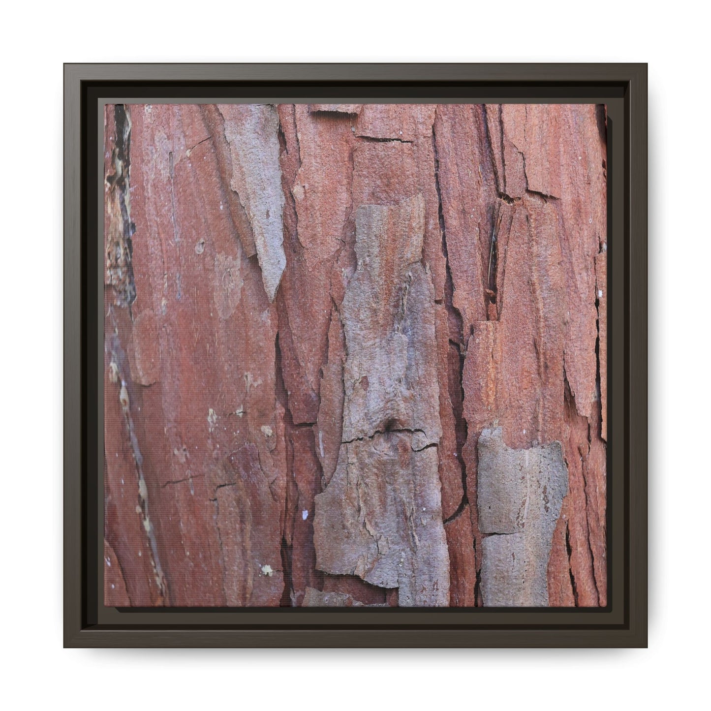 Peeling Bark - Unique Stretched Canvas Wall Art