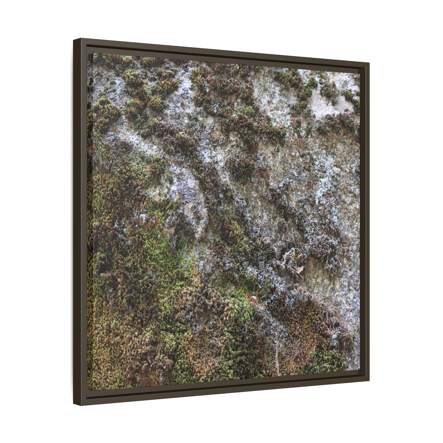 Mossy Whispers - Unique Stretched Canvas Wall Art