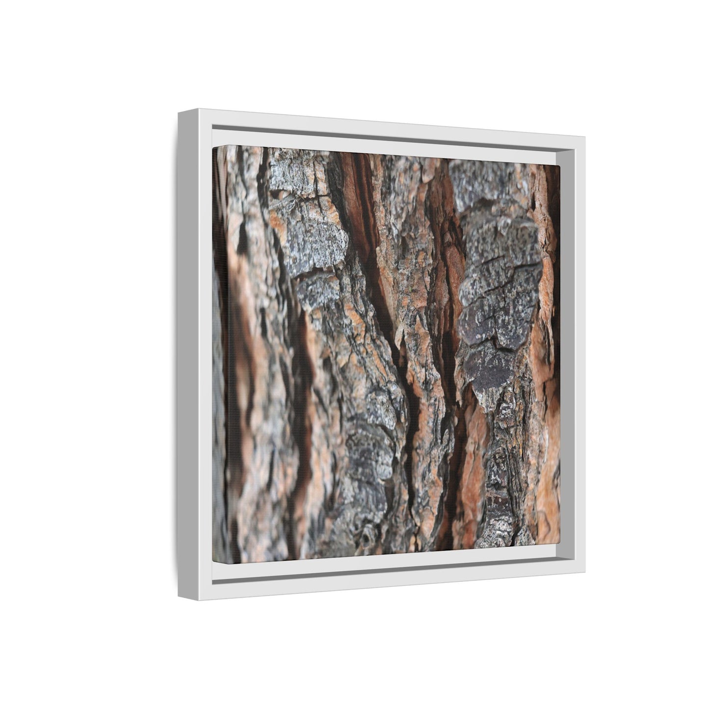 Fractured Nature - Unique Stretched Canvas Wall Art
