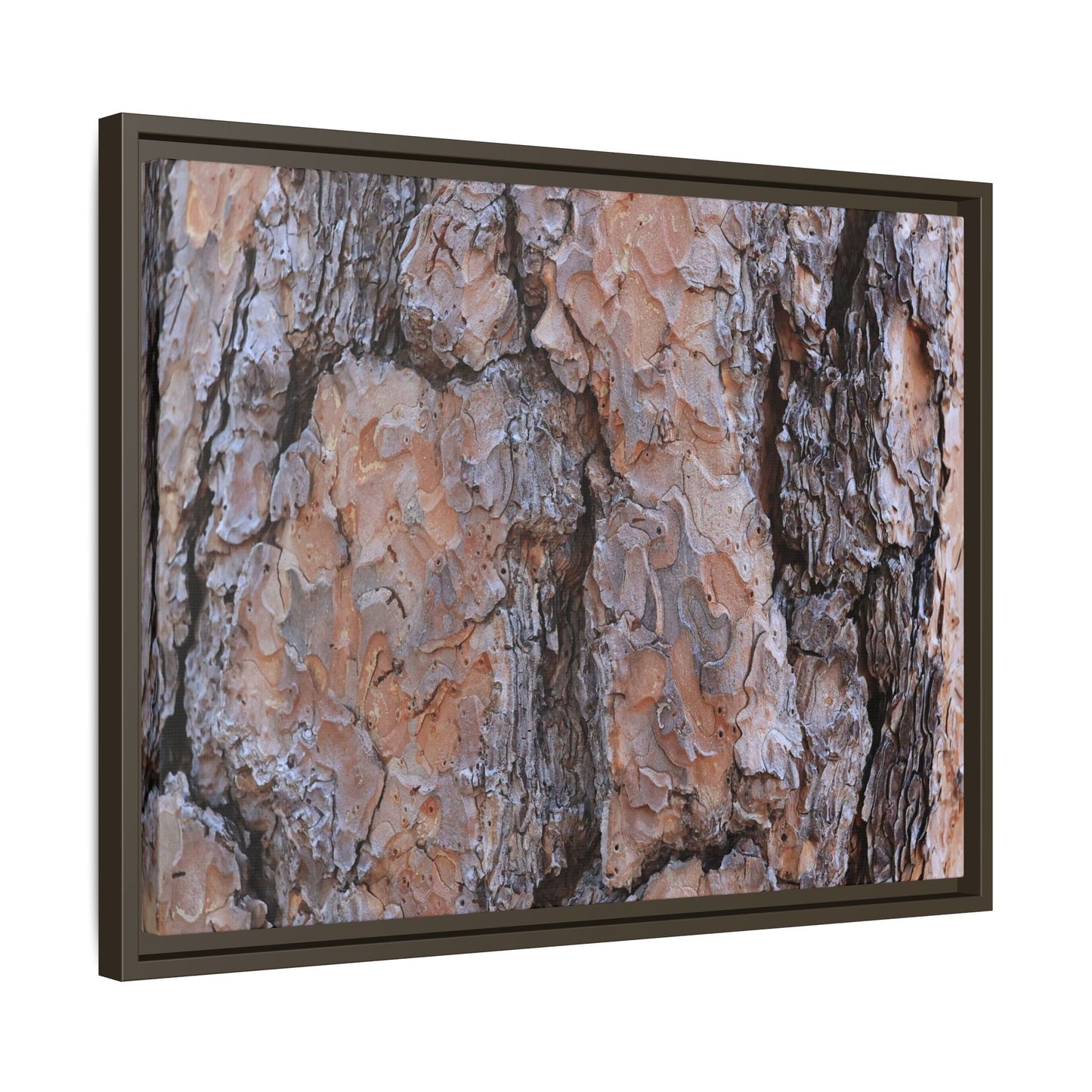 Tree Skin Symphony - Unique Stretched Canvas Wall Art