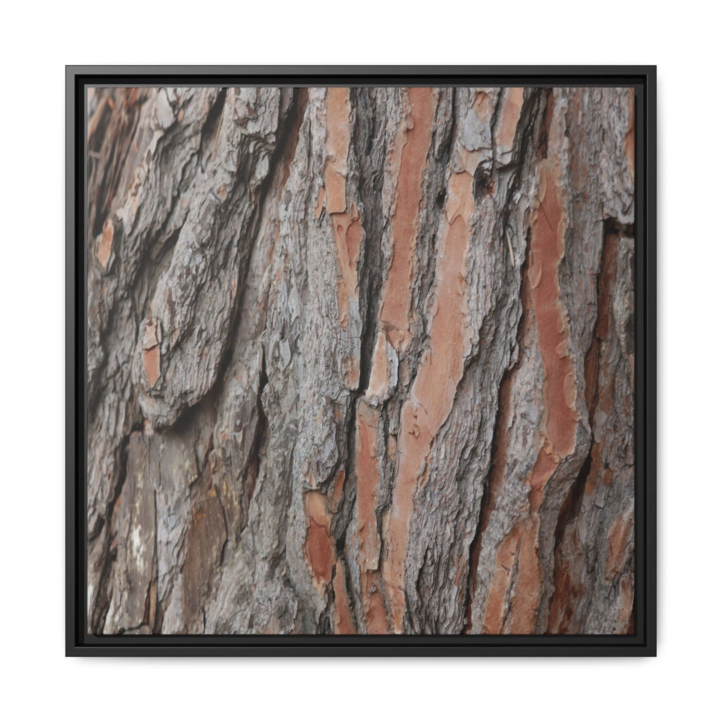 Woodland Layers - Unique Stretched Canvas Wall Art