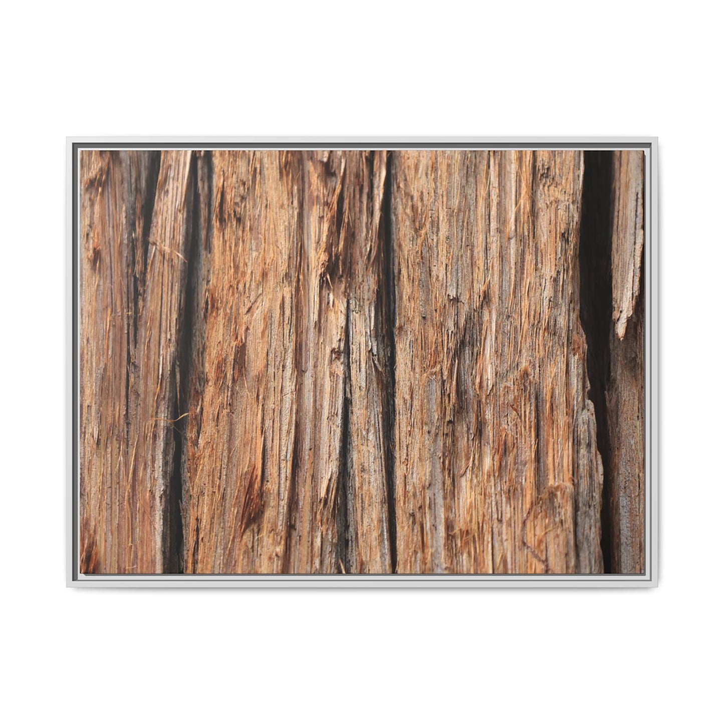 Timber Echoes - Unique Stretched Canvas Wall Art