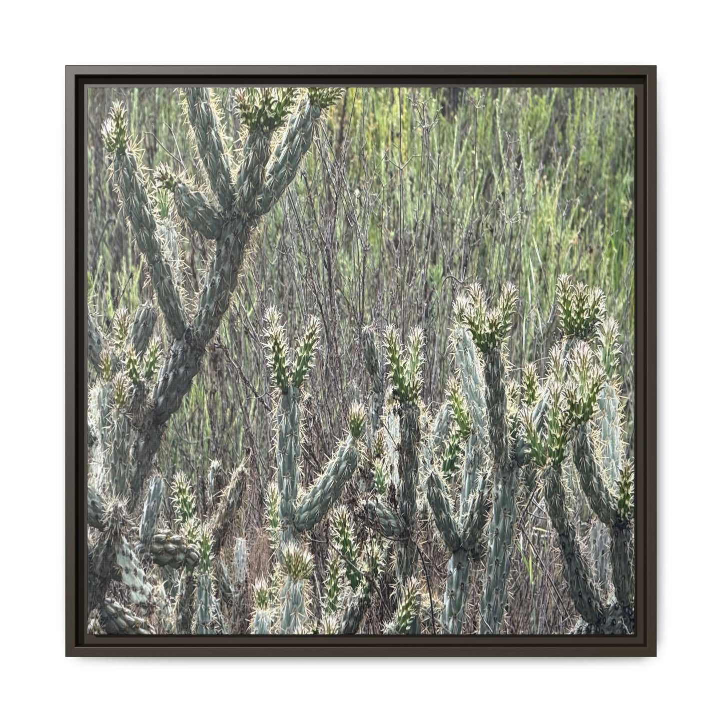 Prickly Paradise - Unique Stretched Canvas Wall Art