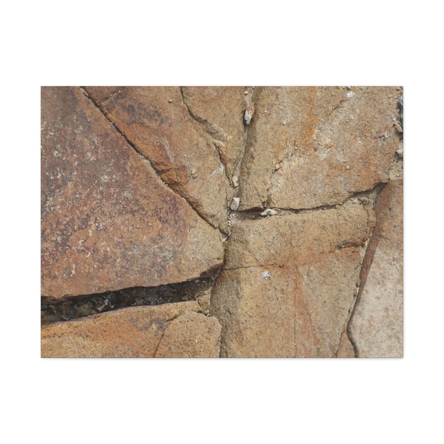 Cracked Earth's Canvas - Unique Frameless Canvas Wall Art