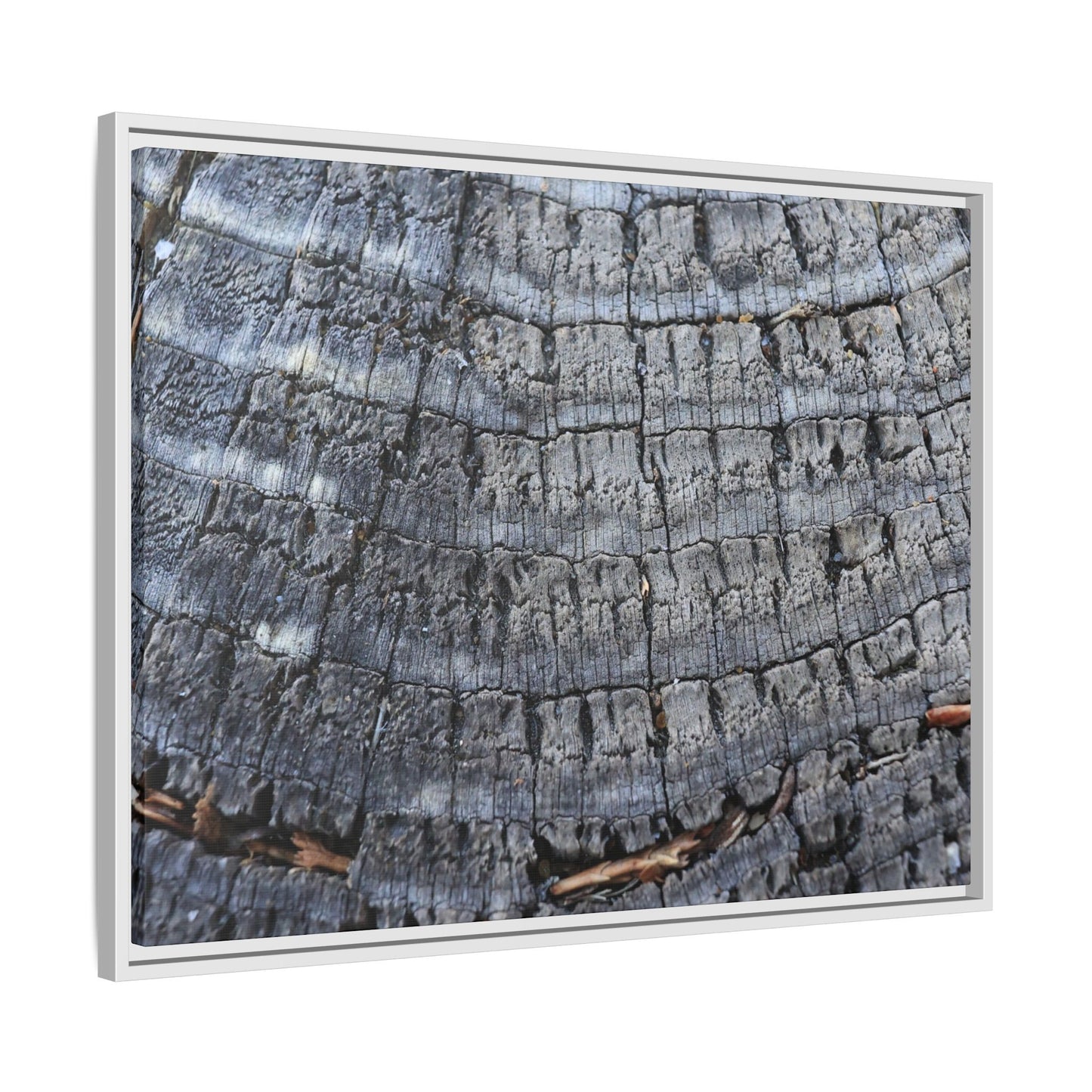 Charred Memories - Unique Stretched Canvas Wall Art