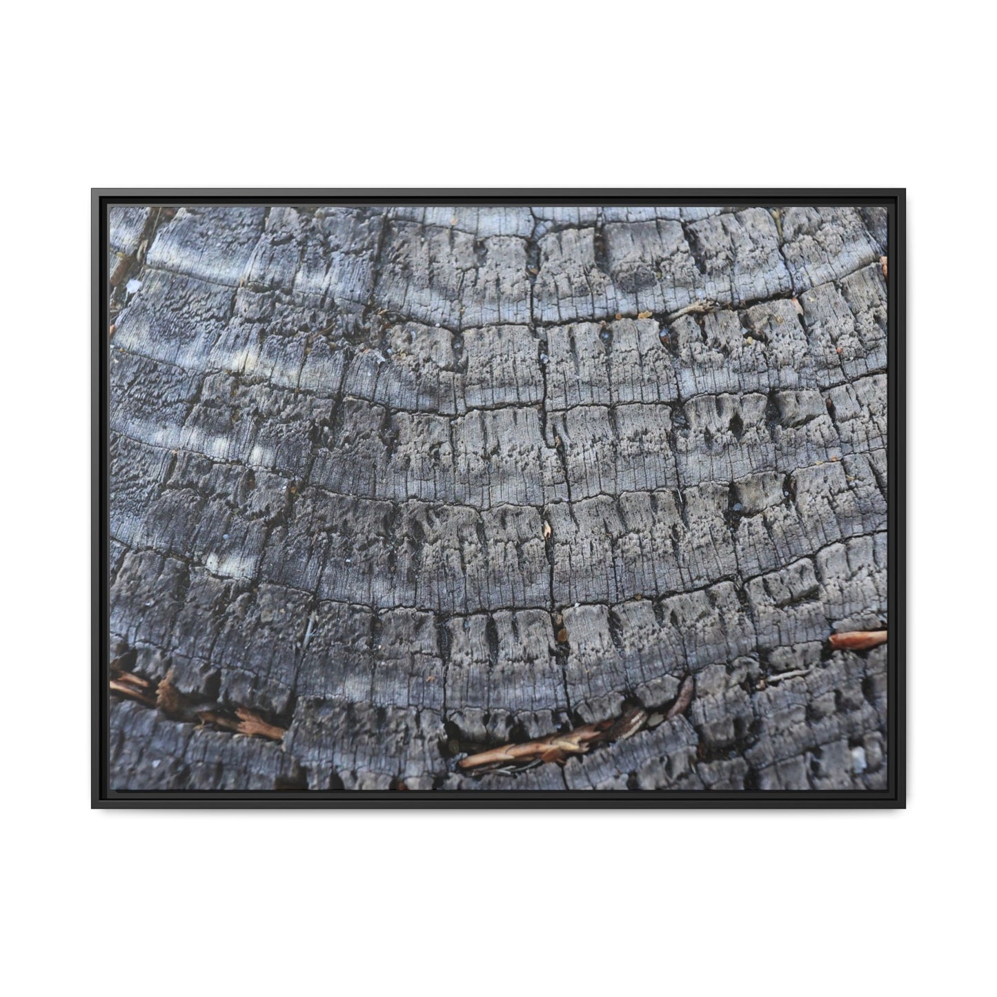 Charred Memories - Unique Stretched Canvas Wall Art