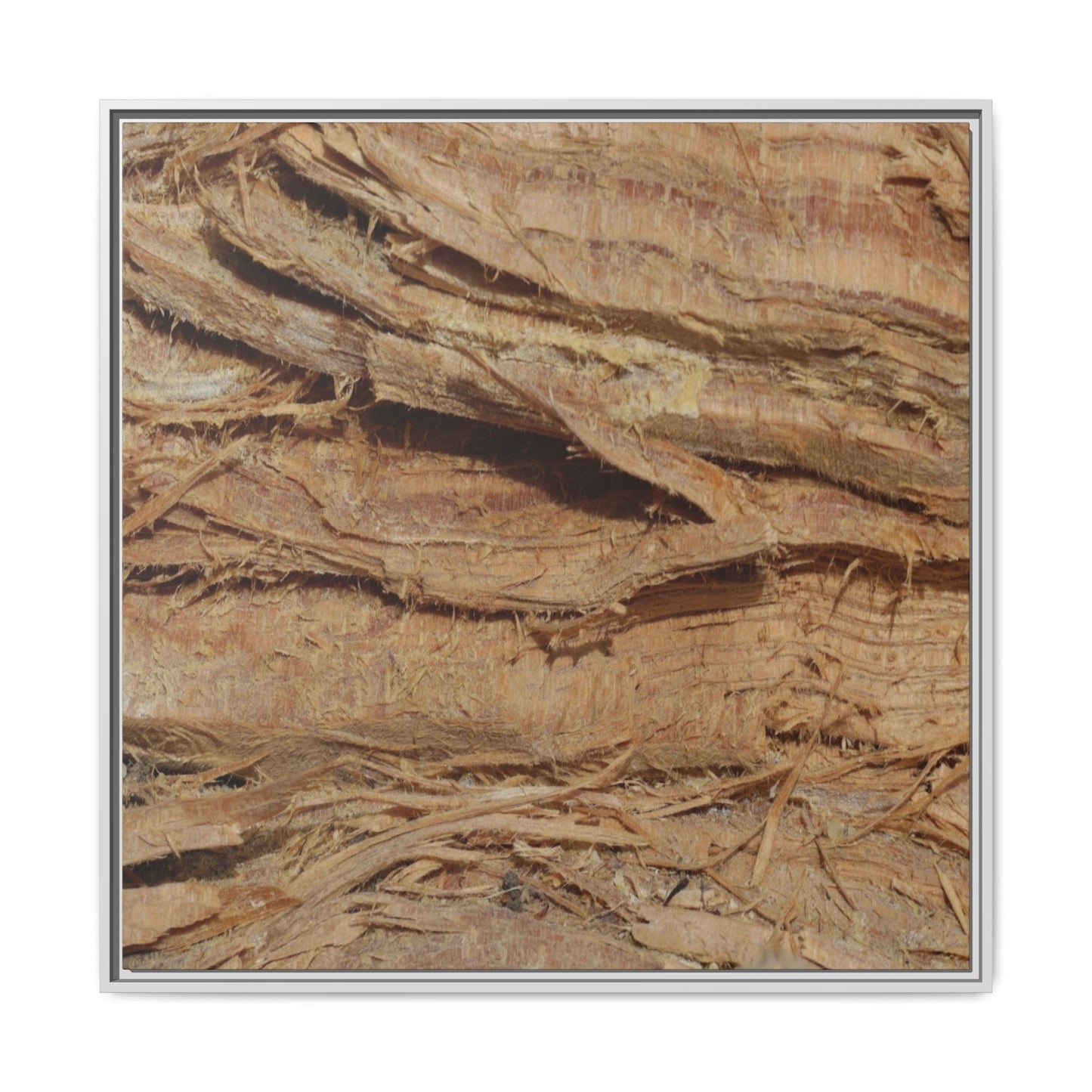 Splintered Bark - Unique Stretched Canvas Wall Art