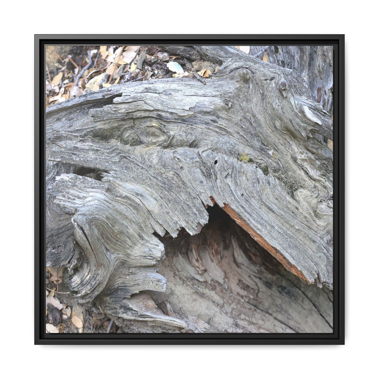 Driftwood Dreams - Unique Stretched Canvas Wall Art