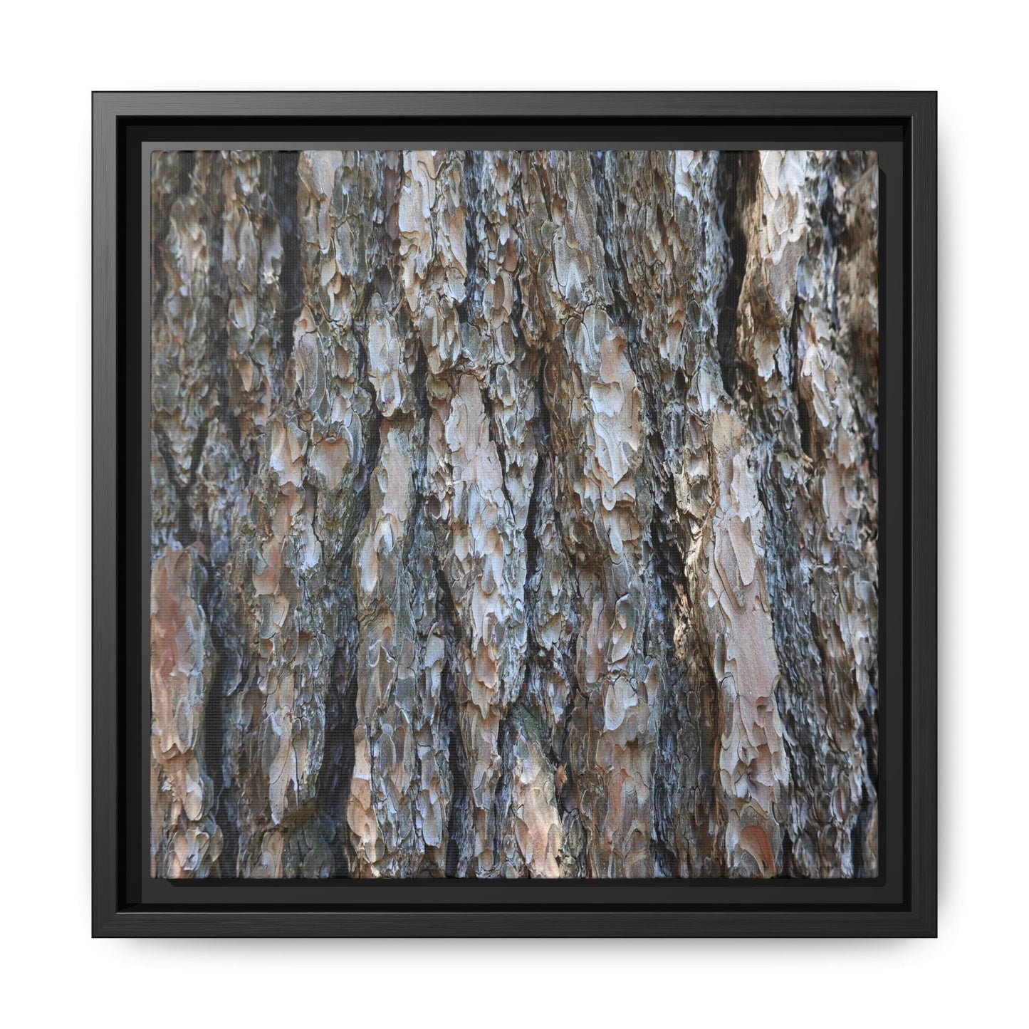 Bark Whispers - Unique Stretched Canvas Wall Art