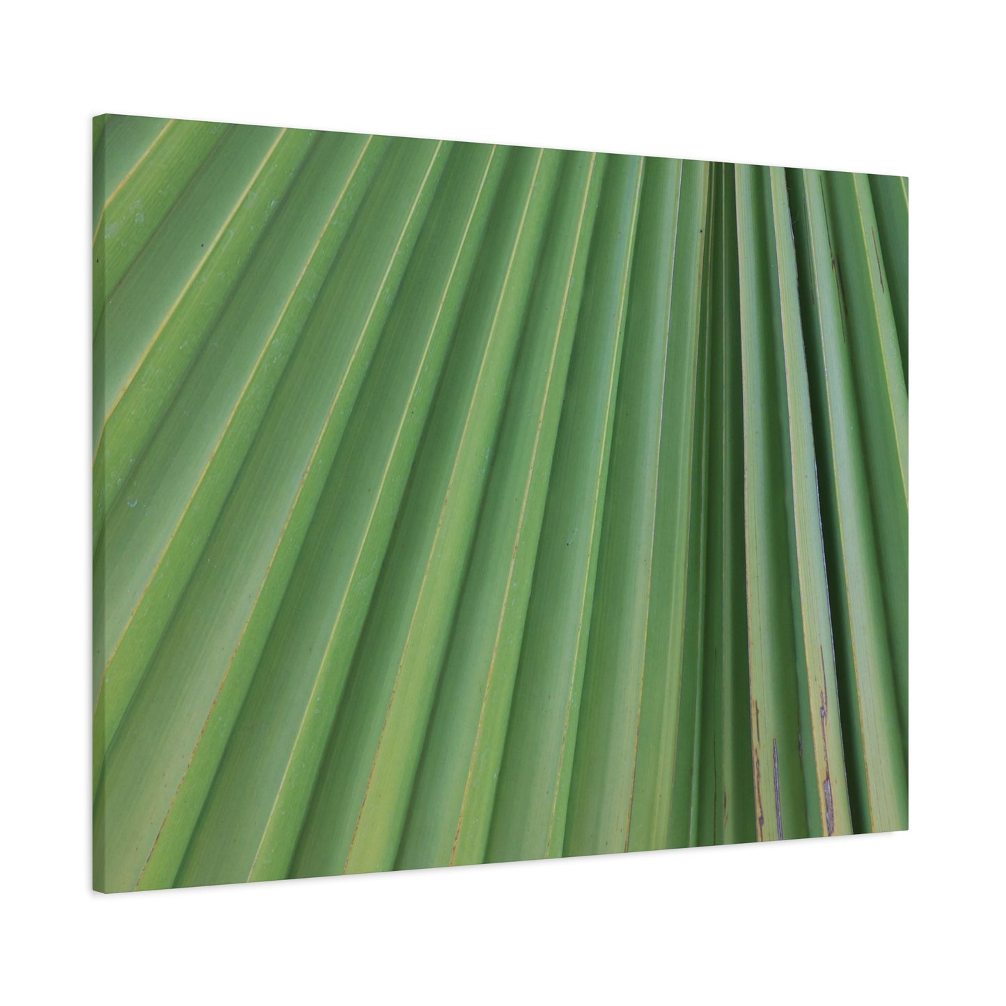 Palm Pulse - Unique Frameless Canvas Wall Art