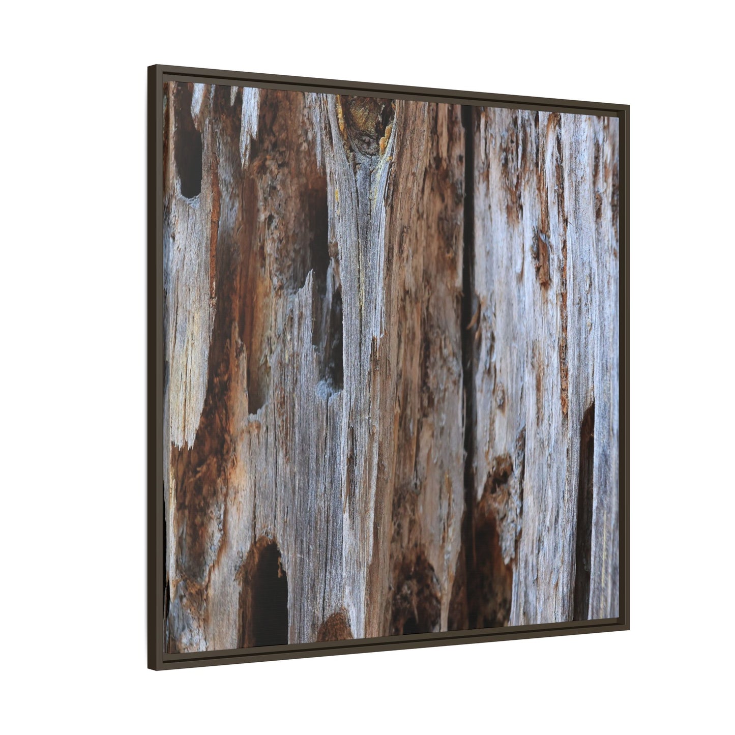 Decaying Splendor - Unique Stretched Canvas Wall Art