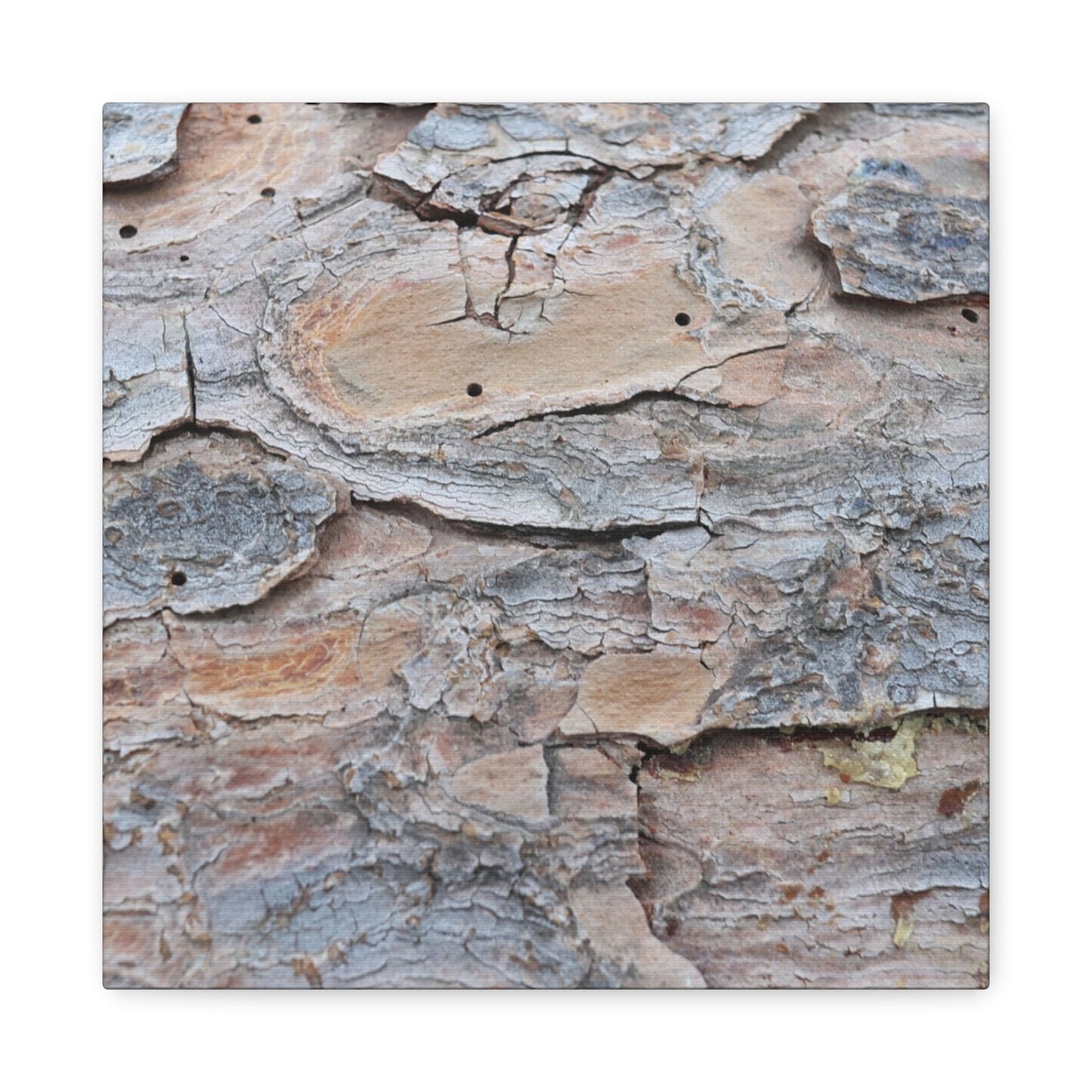 Textural Geology - Unique Frameless Canvas Wall Art