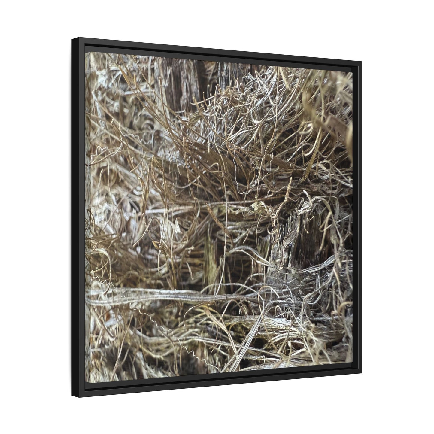 Tangled Whispers of Autumn - Unique Stretched Canvas Wall Art