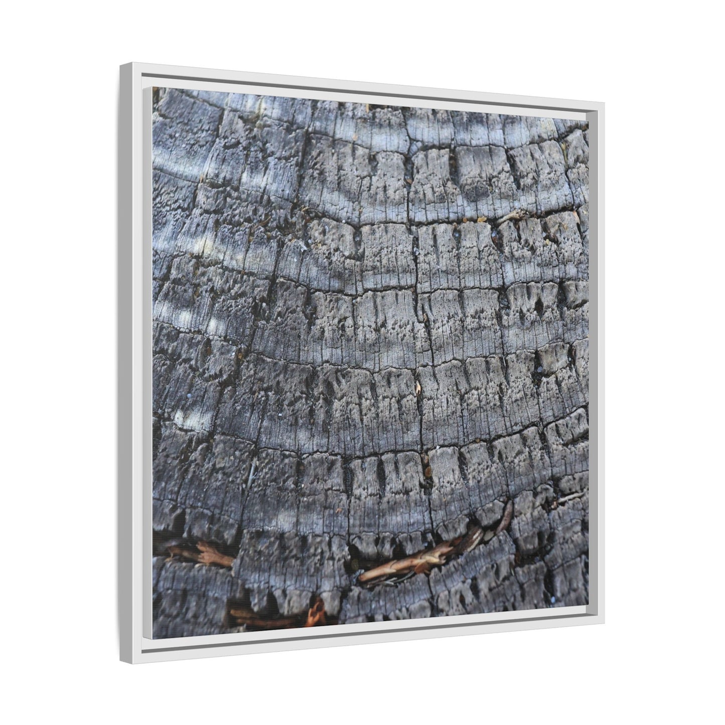 Charred Memories - Unique Stretched Canvas Wall Art
