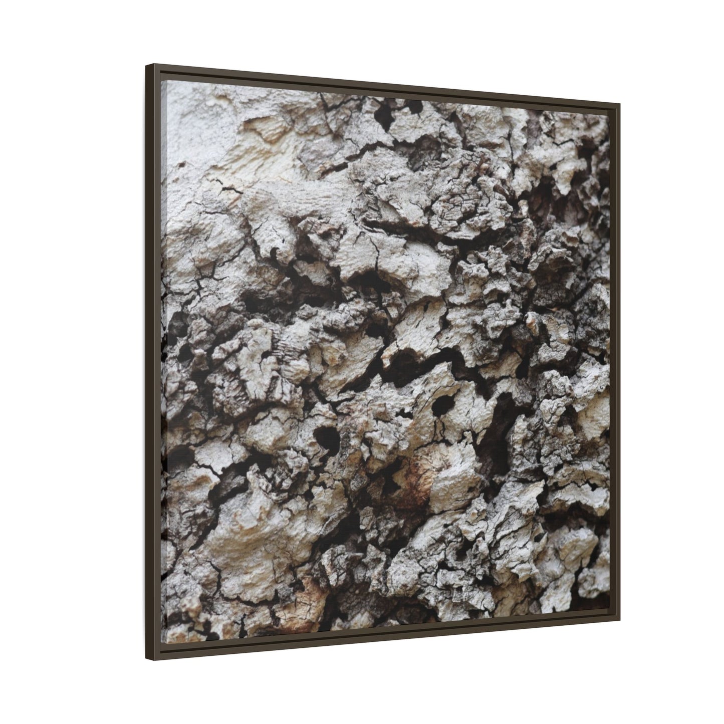 Cracked Terrain - Unique Stretched Canvas Wall Art