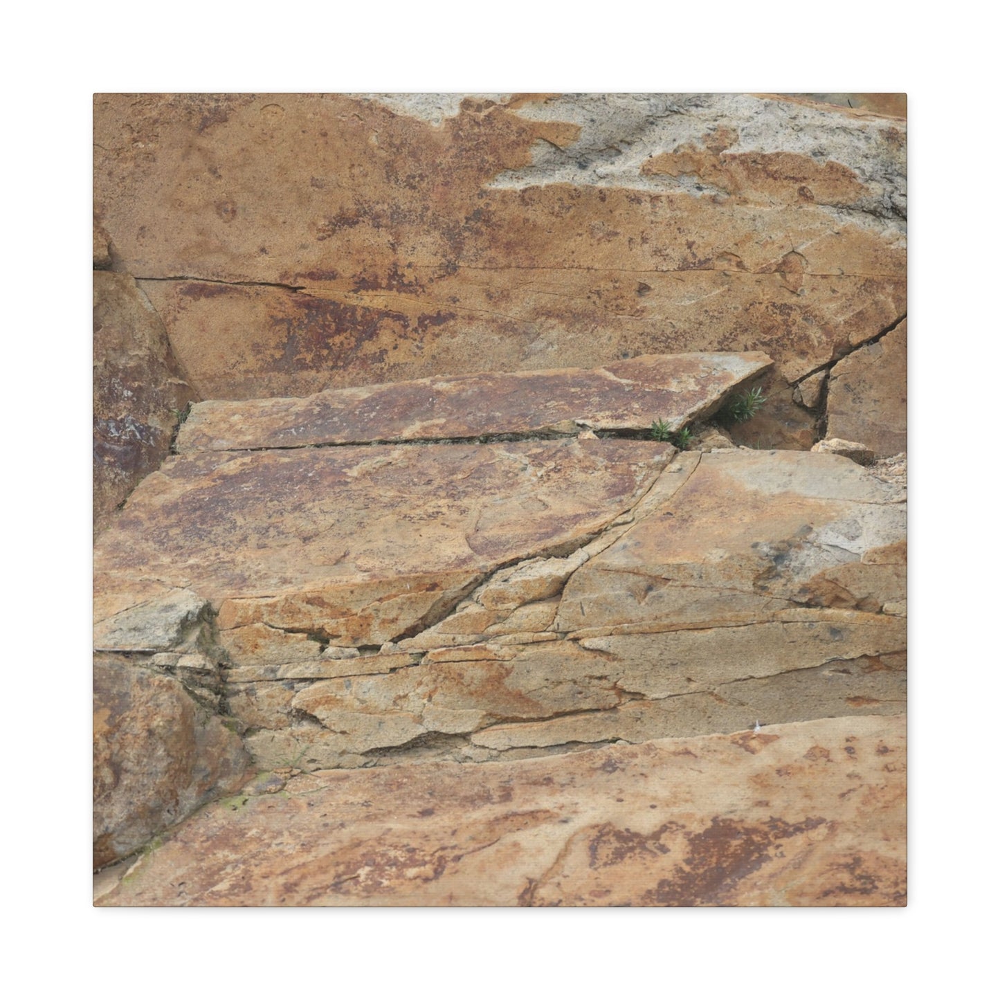 Rocky Terrain - Unique Frameless Canvas Wall Art