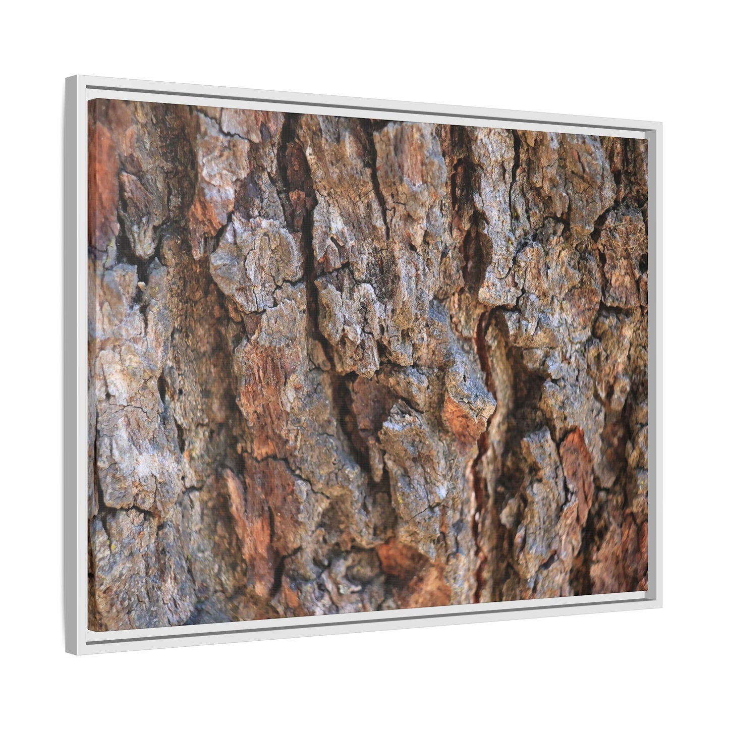 Craggy Textures - Unique Stretched Canvas Wall Art