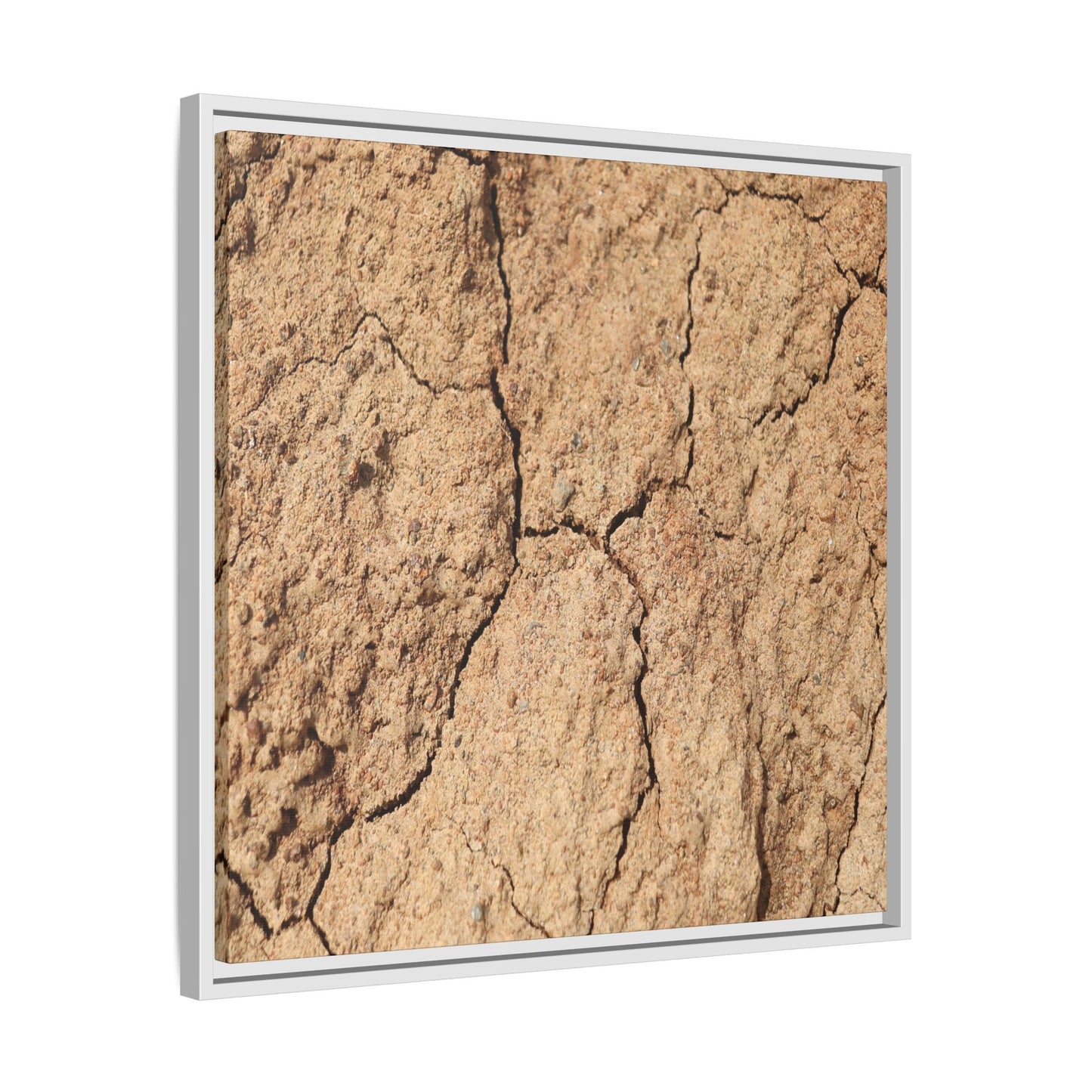 Parched Land - Unique Stretched Canvas Wall Art