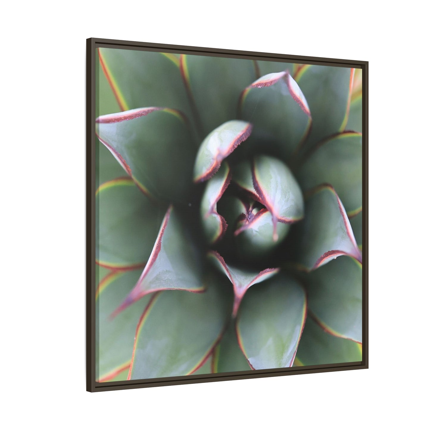 Spiky Elegance - Unique Stretched Canvas Wall Art