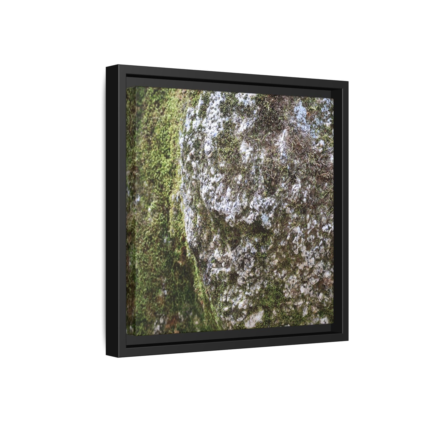 Lichen Landscape - Unique Stretched Canvas Wall Art