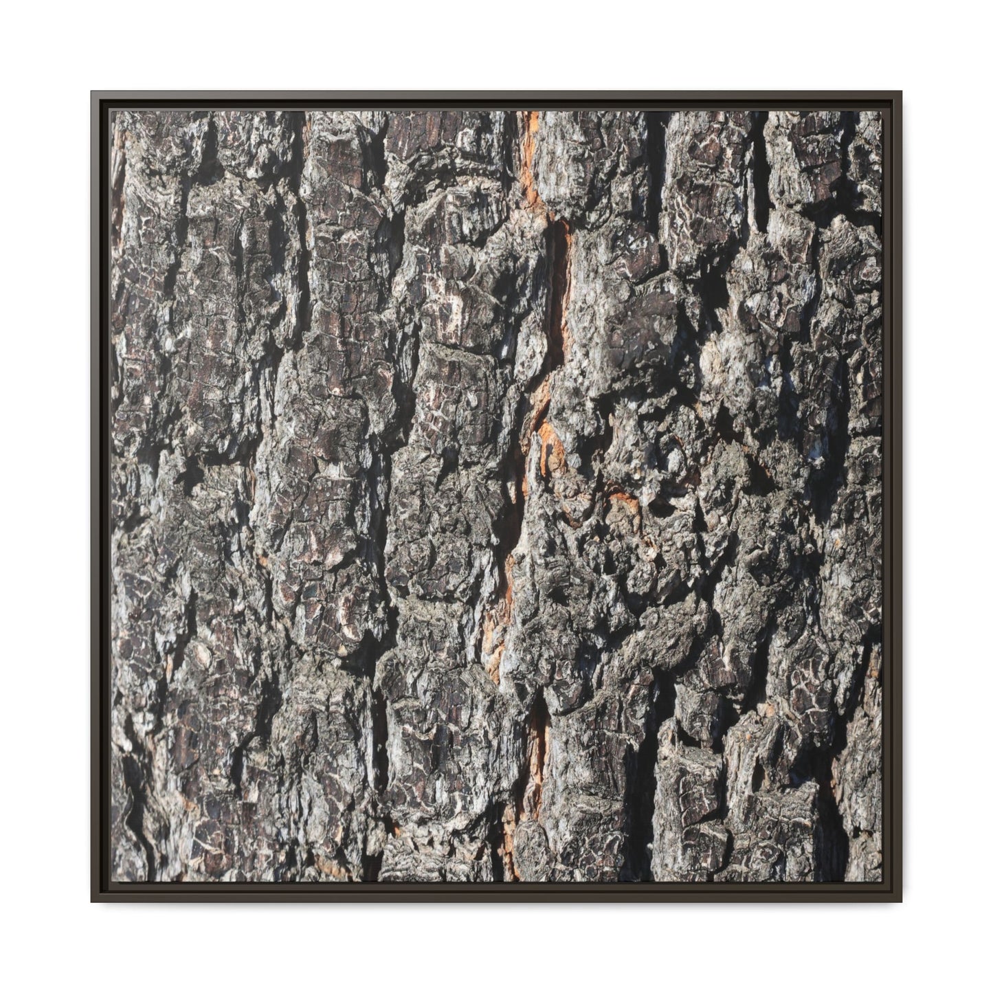 Aged Beauty - Unique Stretched Canvas Wall Art
