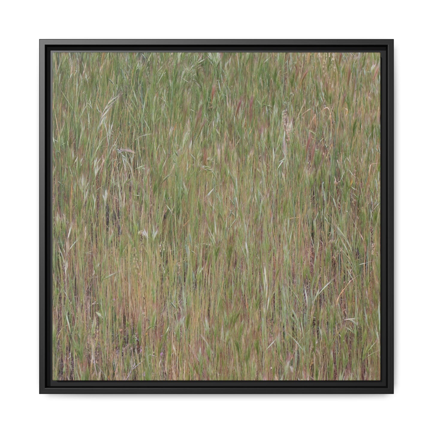 Field of Dreams - Unique Stretched Canvas Wall Art