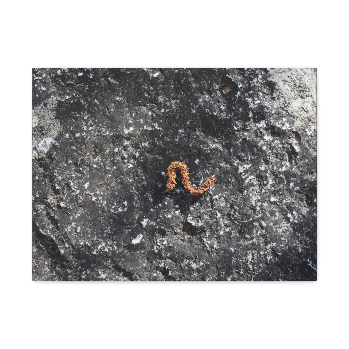Earthen Serpent - Unique Frameless Canvas Wall Art