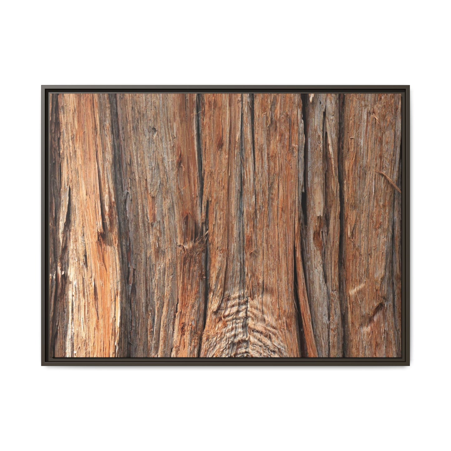 Echoes of Timber - Unique Stretched Canvas Wall Art