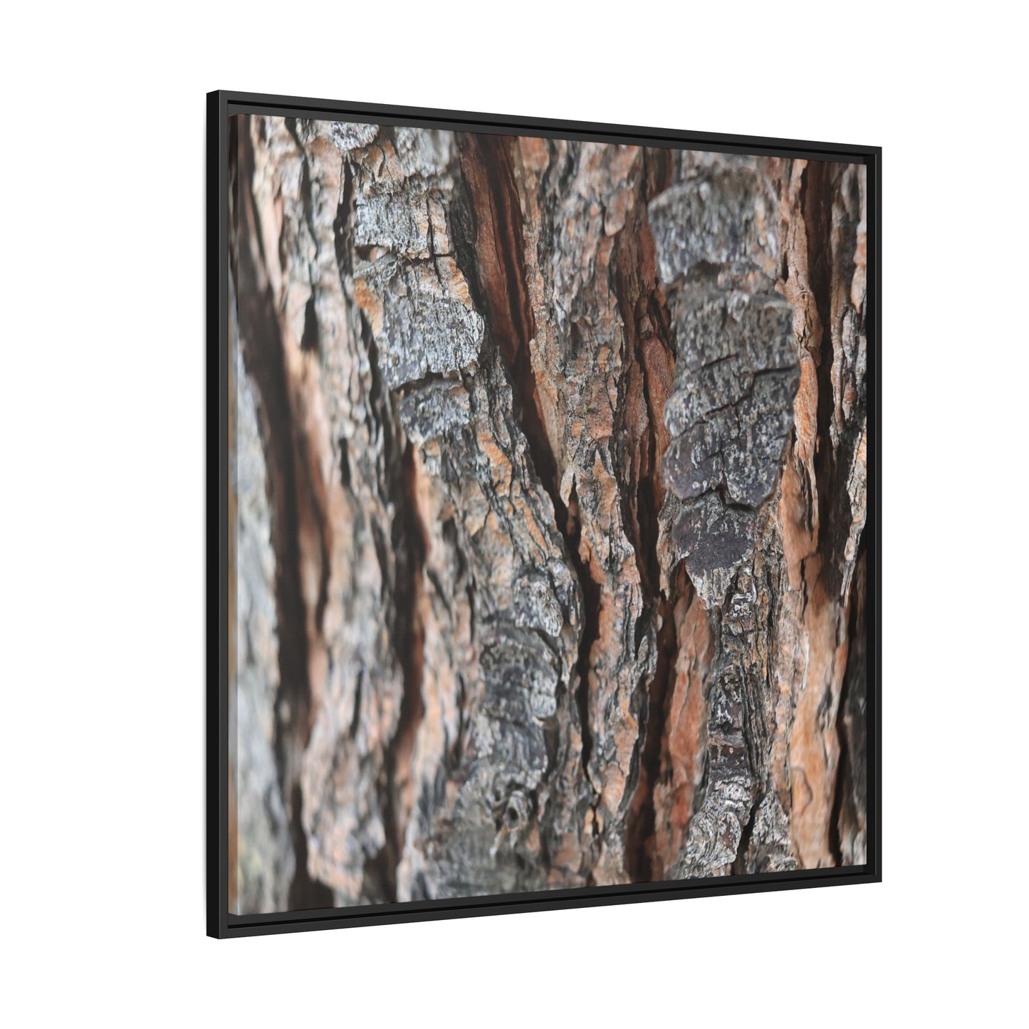 Fractured Nature - Unique Stretched Canvas Wall Art