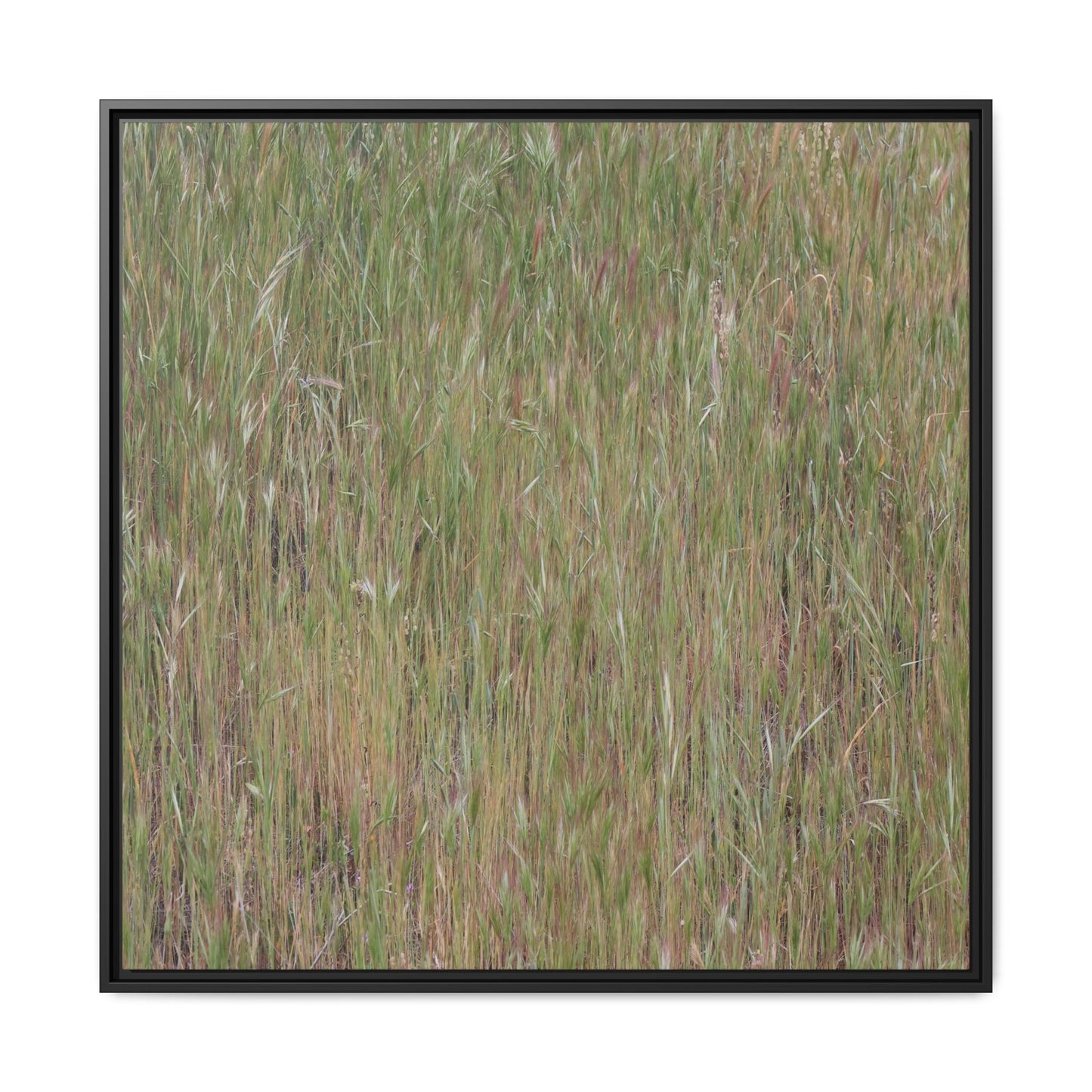 Field of Dreams - Unique Stretched Canvas Wall Art