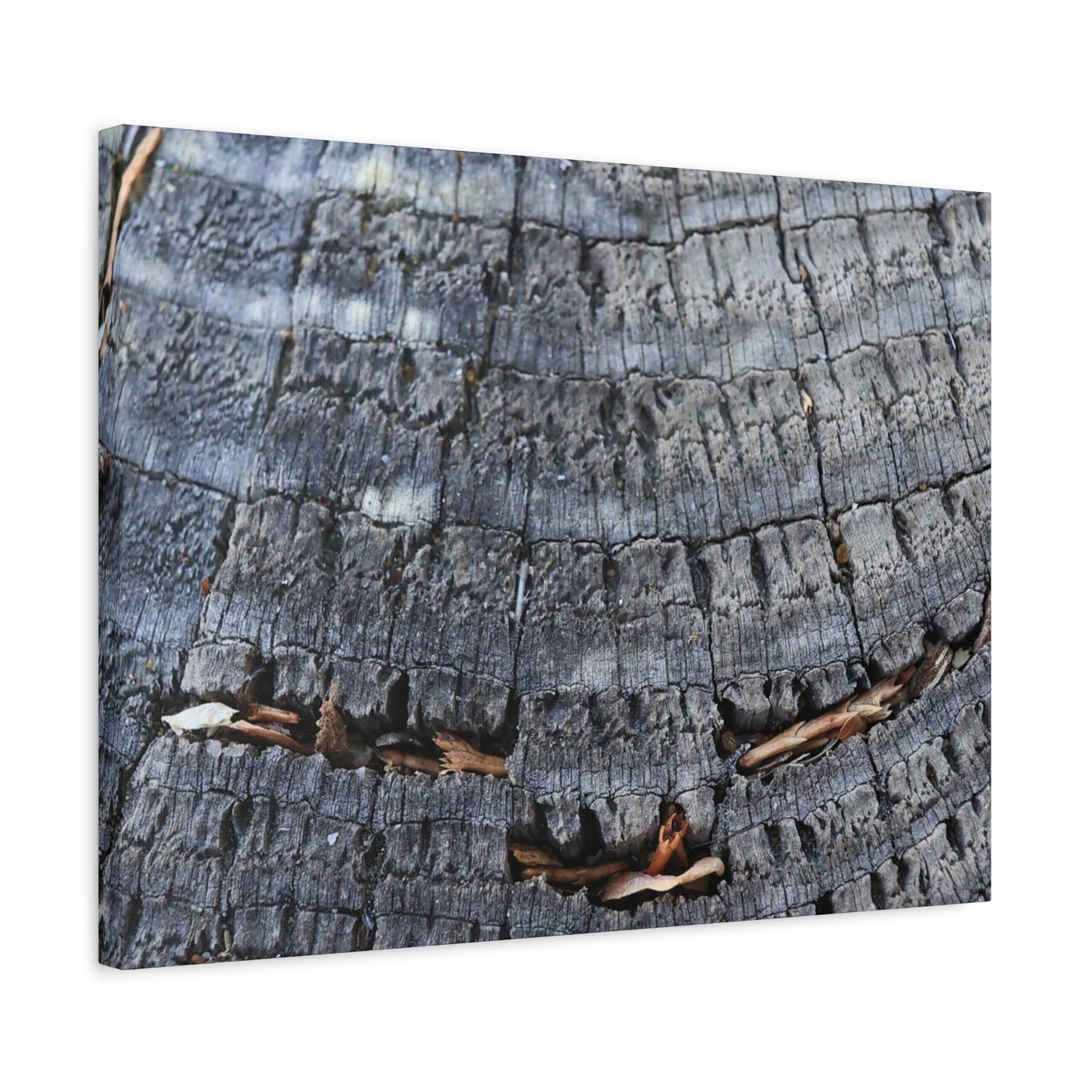Time's Fractal Whispers - Unique Frameless Canvas Wall Art