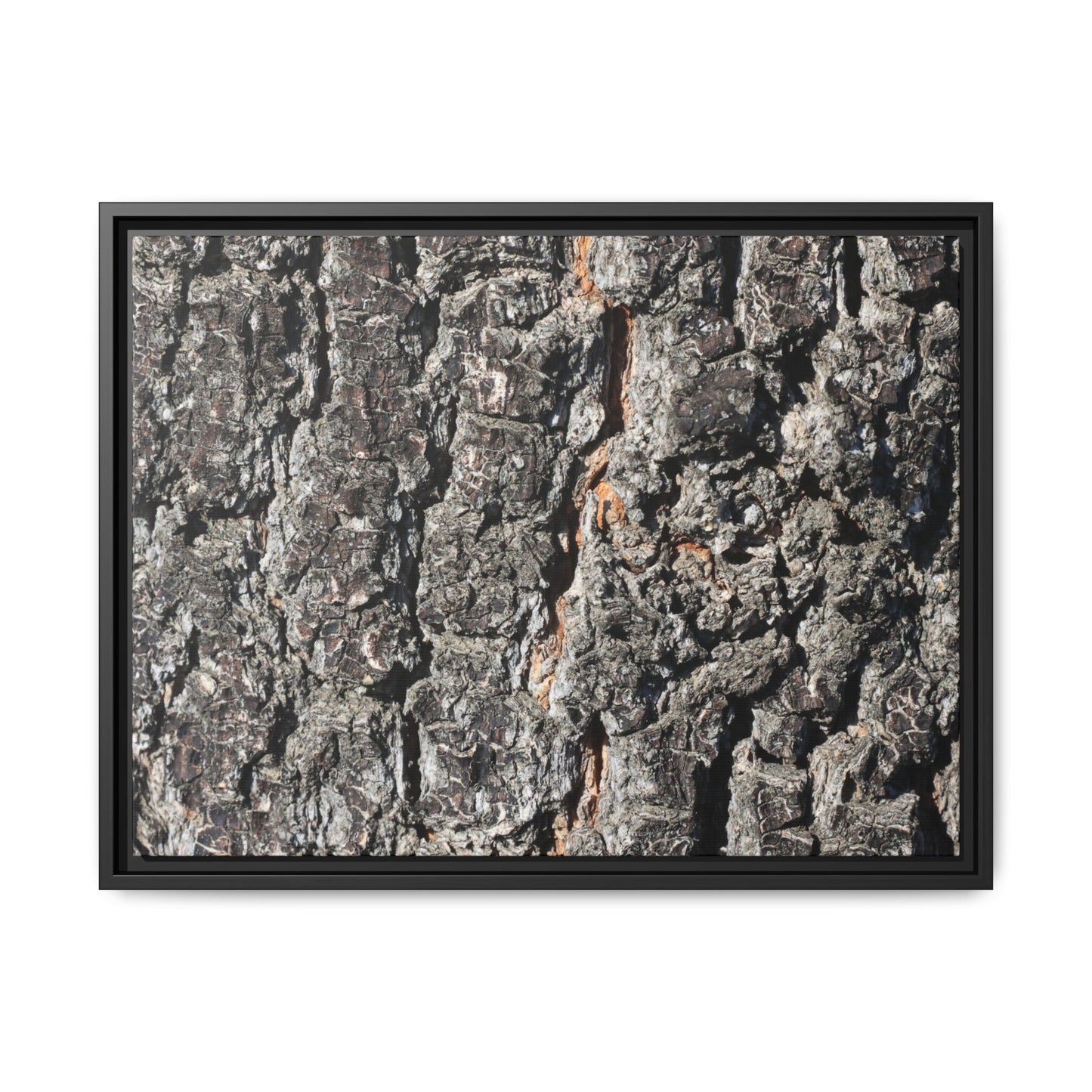 Aged Beauty - Unique Stretched Canvas Wall Art