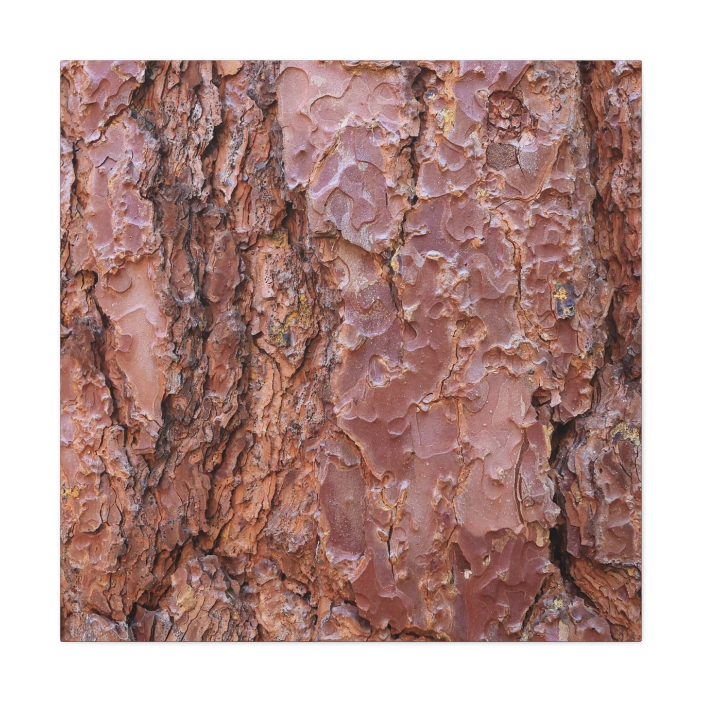 Rusty Textures - Unique Frameless Canvas Wall Art