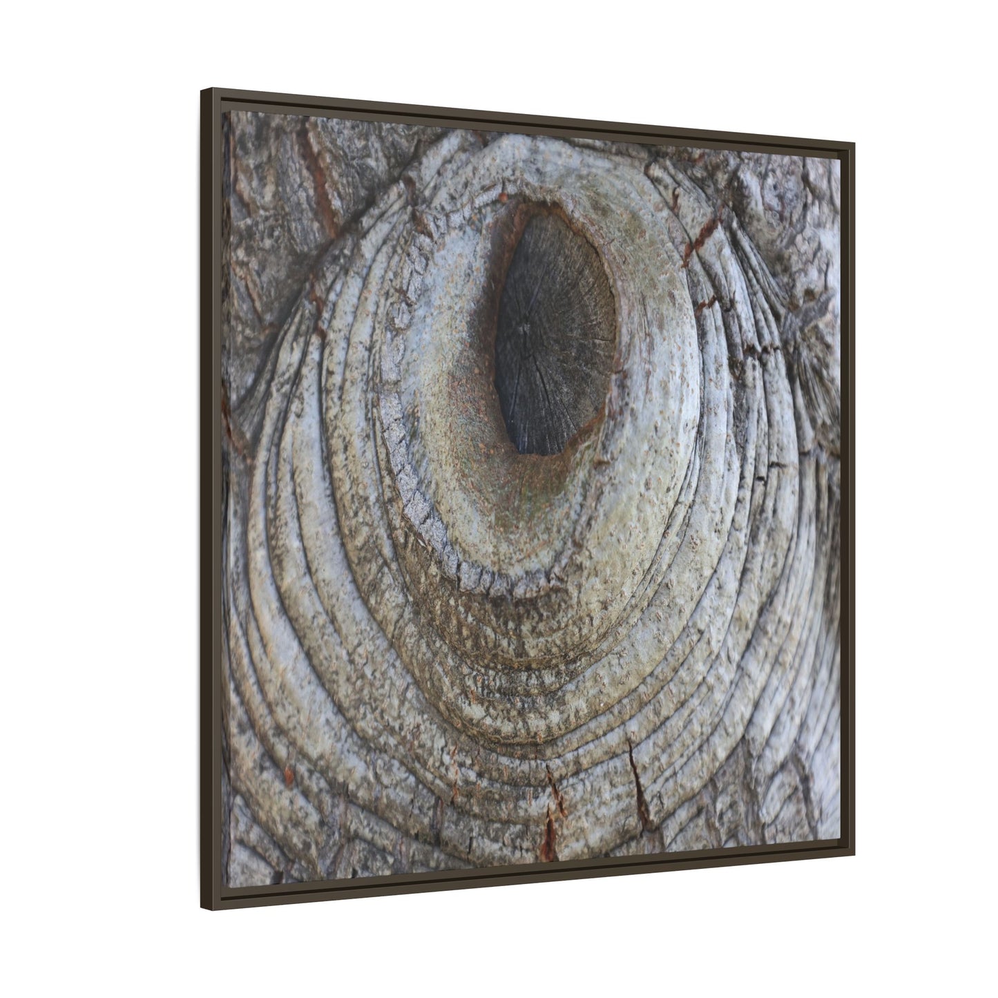 Echoes of Time - Unique Stretched Canvas Wall Art